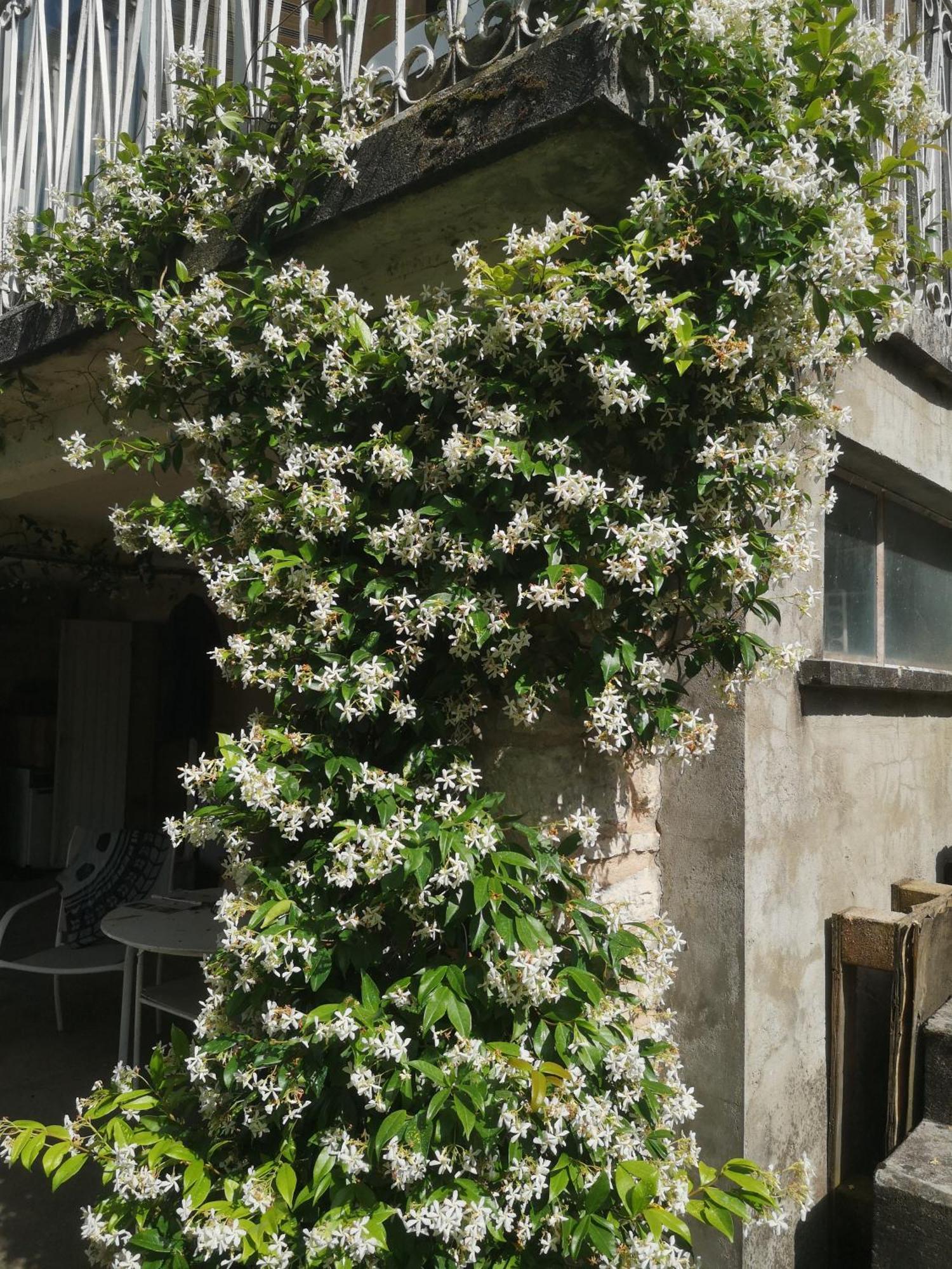 Un Coin De Paradis En Dordogne Bed and Breakfast Saint-Cyprien  Exterior foto